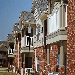 Chestnut Trace