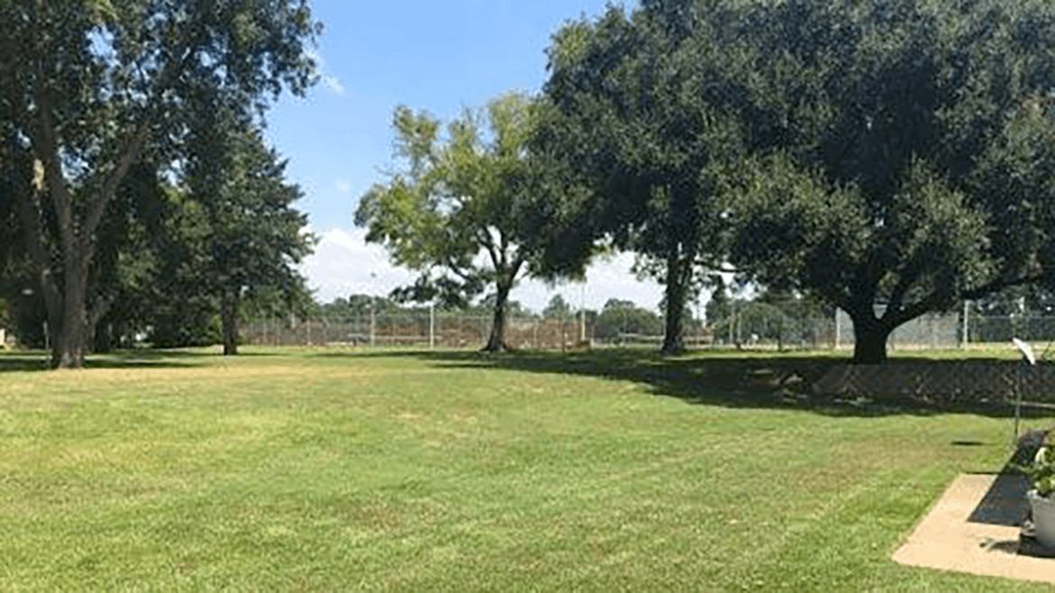Piney Woods Estates I - Mineola