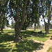 Piney Woods Estates I - Mineola