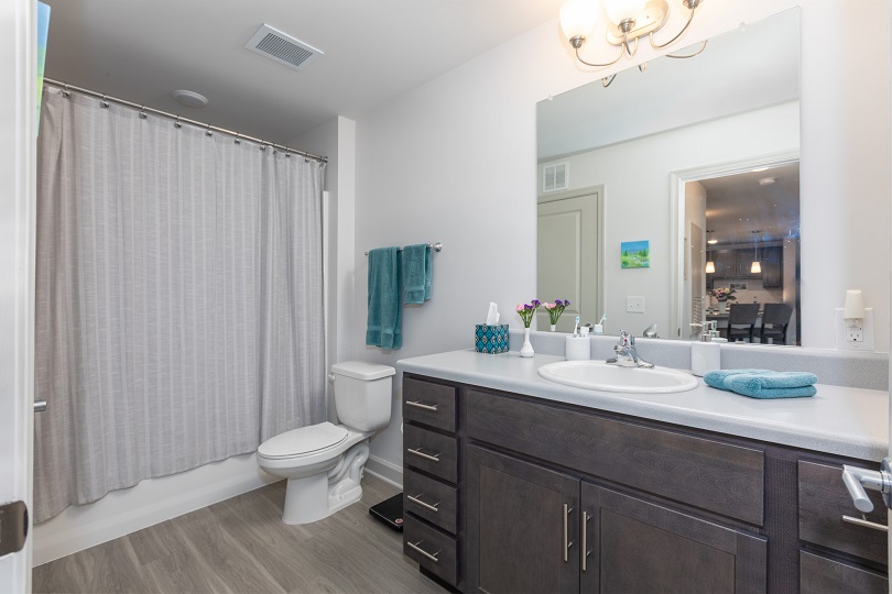 East Haven Apartments Apartment Swannanoa, NC