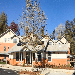 Jamestown Terrace