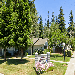 Almondwood Apartments