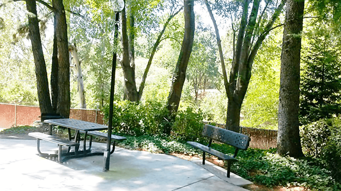 Shannon Bay Apartments