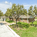 Cedar Grove Estates - Buckholts