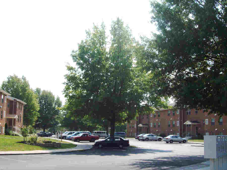 View of apartment complex