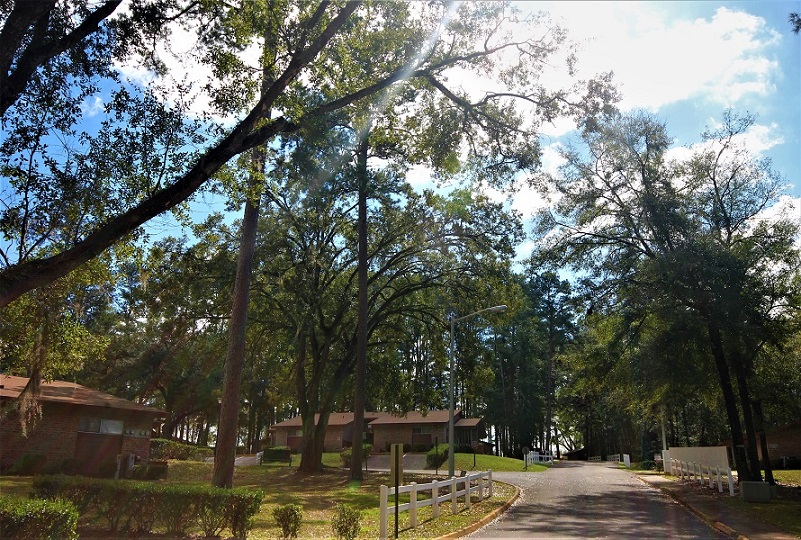 Rent Apartment Tallahassee 32308